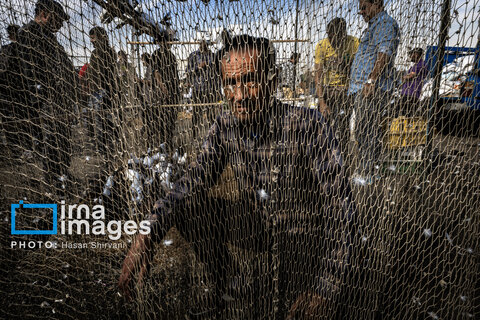 جمعه‌ها در قفس