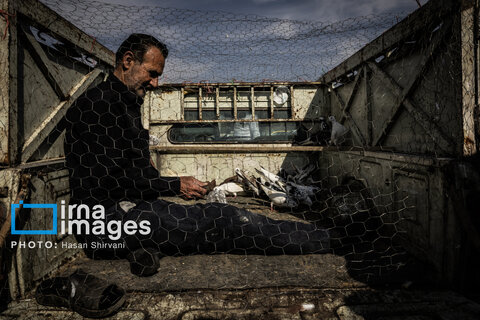 جمعه‌ها در قفس