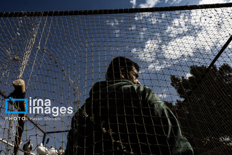 جمعه‌ها در قفس