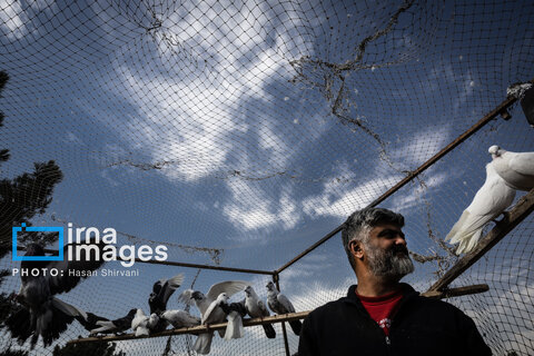 جمعه‌ها در قفس