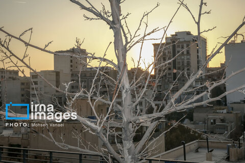 پاییز بی‌رنگ پایتخت