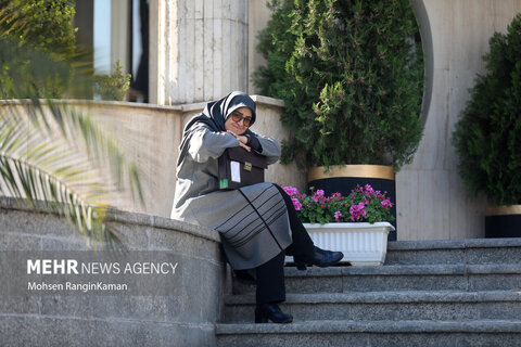 حاشیه جلسه هیئت دولت 