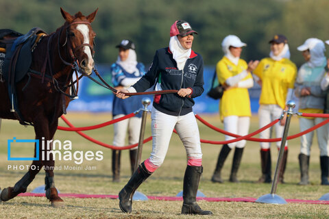 لیگ ملی چوگان زنان «جام نرگس»