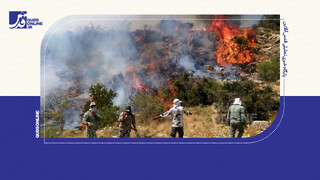 فیلم | آخرین جزئیات حریق در جنگل‌های هیرکانی