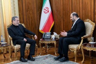 عراقچی در دیدار سید محسن حکیم: تشکیل سریع دولت، شیرینی برگزاری انتخابات پرشور عراق را مضاعف می‌کند