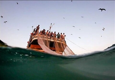 ترال ها «زیر آب» خلیج فارس را می زنند