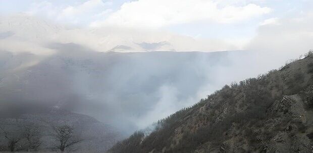 قصور در مهار آتش‌سوزی جنگل‌ الیت پیگرد قضایی دارد