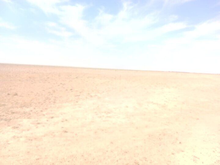 تالاب بندعلیخان در آستانه بحران اکولوژیک