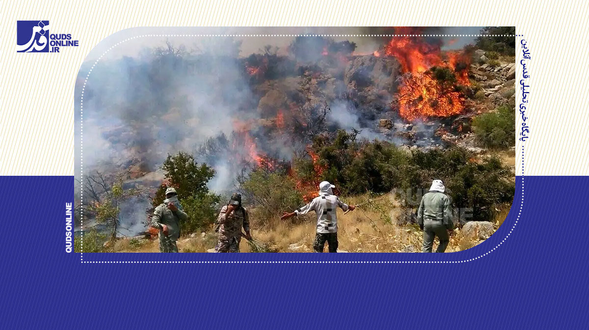 فیلم | آخرین جزئیات حریق در جنگل‌های هیرکانی