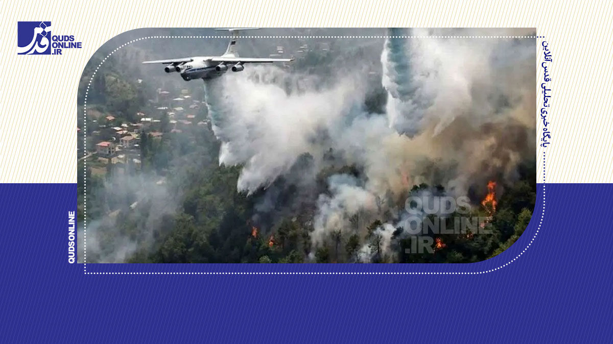 فیلم | فاجعه در قلب جنگل‌های هیرکانی