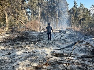 مهار ۸۰ درصد آتش سوزی جنگل الیت