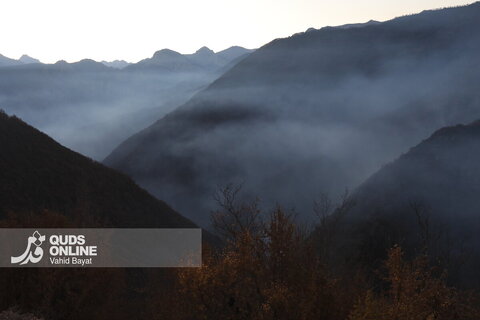 گزارش تصویری | آخرین تصاویر از آتش‌سوزی جنگل الیت