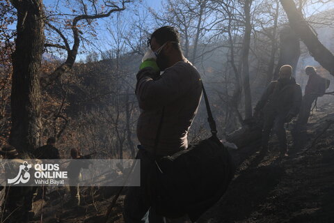 گزارش تصویری | آخرین تصاویر از آتش‌سوزی جنگل الیت