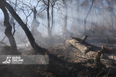گزارش تصویری | آخرین تصاویر از آتش‌سوزی جنگل الیت