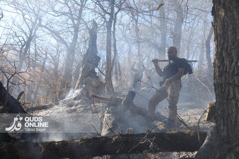 گزارش تصویری | آخرین تصاویر از آتش‌سوزی جنگل الیت