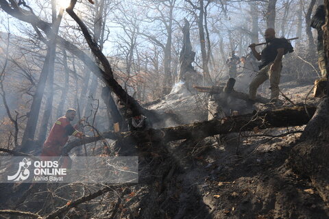 گزارش تصویری | آخرین تصاویر از آتش‌سوزی جنگل الیت