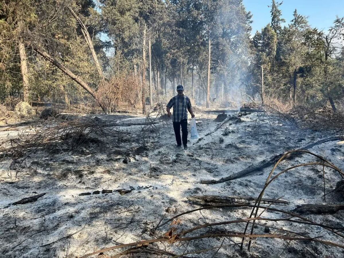 مهار ۸۰ درصد آتش سوزی جنگل الیت