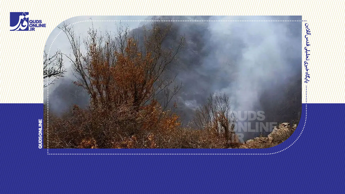 فیلم | آخرین وضعیت جنگل‌های الیت