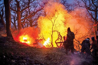 «سازمان بازرسی» مامور برخورد جدی با هرگونه قصور در آتش‌سوزی جنگل الیت شد