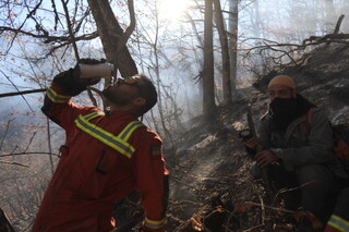 تصاویری از حضور نیروهای هلال احمر در جنگل الیت