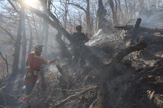 آتش جنگل‌های الیت هنوز مهار کامل نشده است