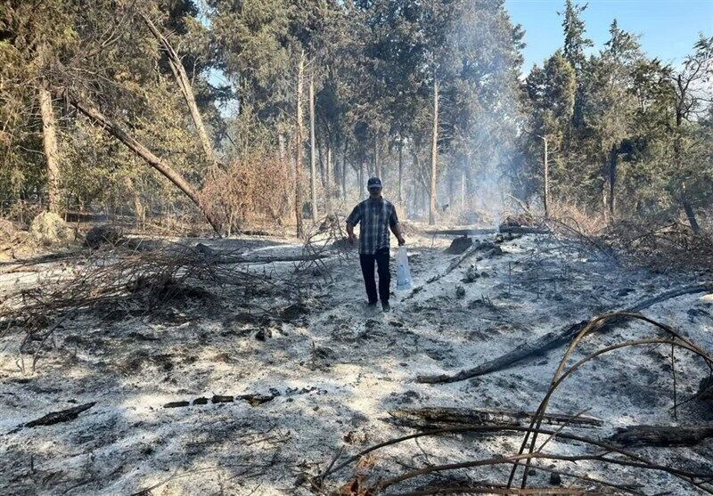 هیچ شعله آتشی دیگر از جنگلهای الیت زبانه نمیکشد