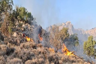 حریق جنگل‌های شرق گلستان تحت کنترل؛ درخواست استقرار بالگرد برای تسریع