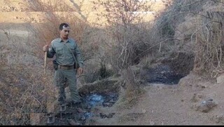 احیا چشمه خشکیده منطقه شکار ممنوع توسط محیط‌بانان فریمان