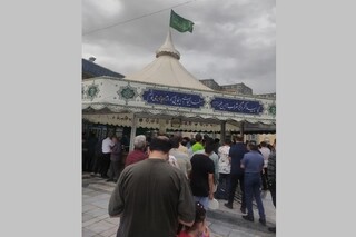 خودشان جفت و جور می‌کنند!