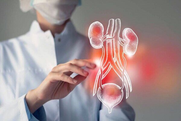 موفقیت پژوهشگران ایرانی در درمان غیرتهاجمی مثانه بیش‌فعال