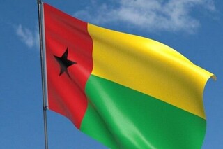 کودتا در گینه بیسائو؛ رئیس جمهور بازداشت شد