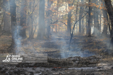 گزارش تصویری | آتش در گلستان؛ هیرکانی همچنان می‌سوزد