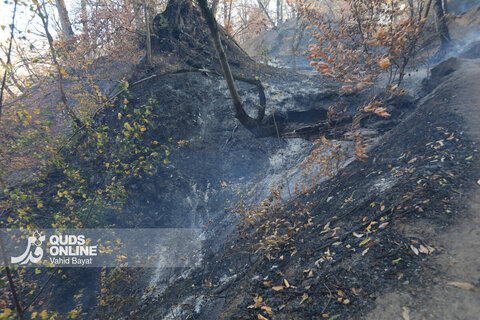 گزارش تصویری | آتش در گلستان؛ هیرکانی همچنان می‌سوزد