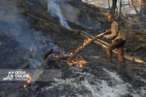 گزارش تصویری | آتش در گلستان؛ هیرکانی همچنان می‌سوزد