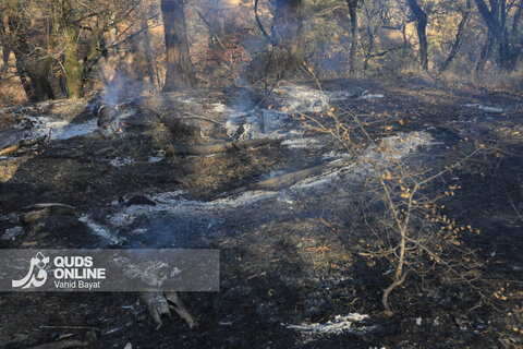 گزارش تصویری | آتش در گلستان؛ هیرکانی همچنان می‌سوزد