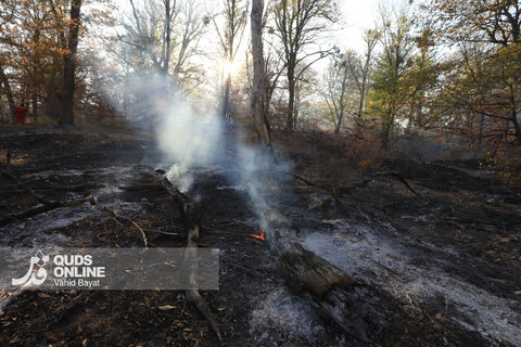 گزارش تصویری | آتش در گلستان؛ هیرکانی همچنان می‌سوزد