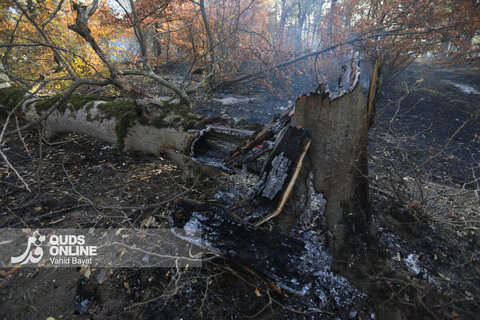 گزارش تصویری | آتش در گلستان؛ هیرکانی همچنان می‌سوزد