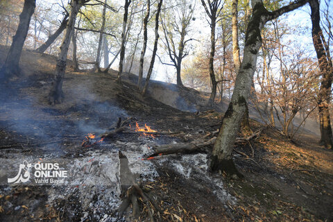 گزارش تصویری | آتش در گلستان؛ هیرکانی همچنان می‌سوزد