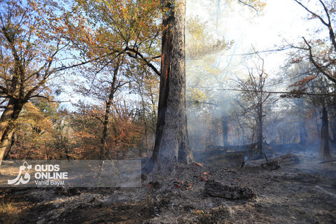 گزارش تصویری | آتش در گلستان؛ هیرکانی همچنان می‌سوزد
