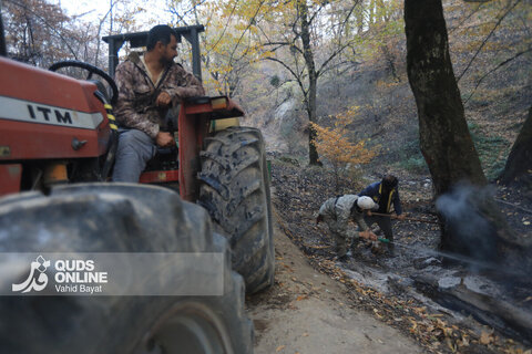 گزارش تصویری | آتش در گلستان؛ هیرکانی همچنان می‌سوزد