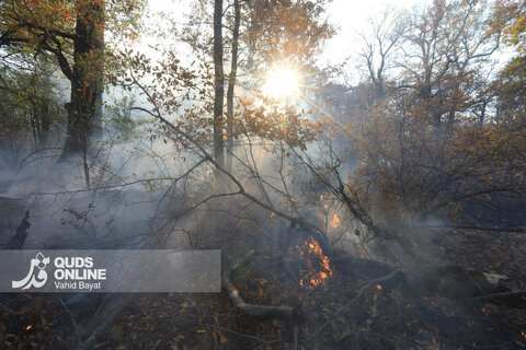 گزارش تصویری | آتش در گلستان؛ هیرکانی همچنان می‌سوزد