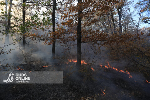 گزارش تصویری | آتش در گلستان؛ هیرکانی همچنان می‌سوزد