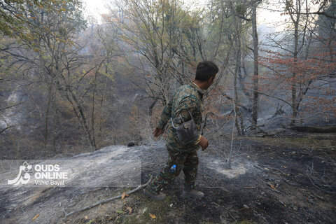 گزارش تصویری | آتش در گلستان؛ هیرکانی همچنان می‌سوزد