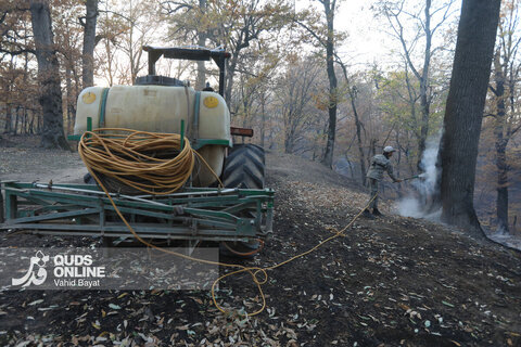 گزارش تصویری | آتش در گلستان؛ هیرکانی همچنان می‌سوزد
