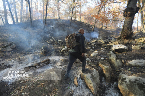 گزارش تصویری | آتش در گلستان؛ هیرکانی همچنان می‌سوزد