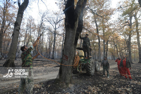 گزارش تصویری | آتش در گلستان؛ هیرکانی همچنان می‌سوزد