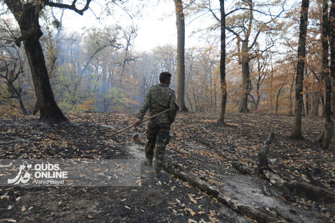 گزارش تصویری | آتش در گلستان؛ هیرکانی همچنان می‌سوزد