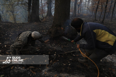 گزارش تصویری | آتش در گلستان؛ هیرکانی همچنان می‌سوزد