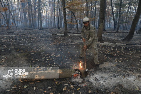 گزارش تصویری | آتش در گلستان؛ هیرکانی همچنان می‌سوزد