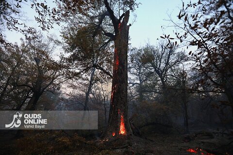 گزارش تصویری | آتش در گلستان؛ هیرکانی همچنان می‌سوزد